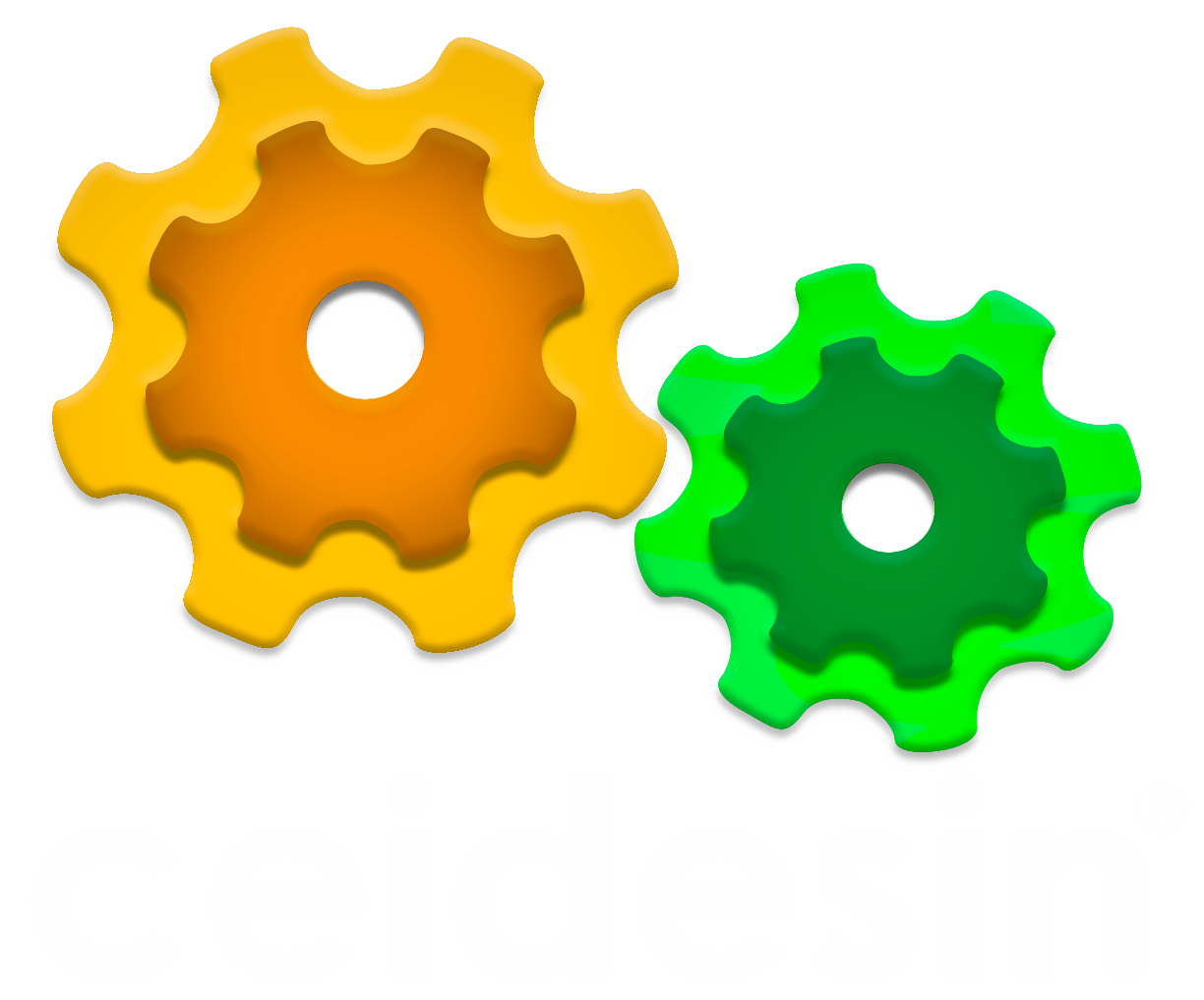 CEIDESIN